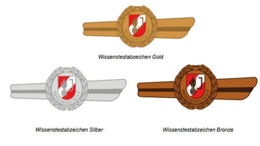 Wissenstestabzeichen der Feuerwehrjugend